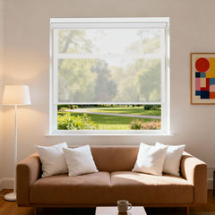 Boolegon Blackout Roller Shades for Windows, Color-Matched Roller Blinds, UV Protection, Thermal Insulation Fabric Room Darkening Shades for Home, Office